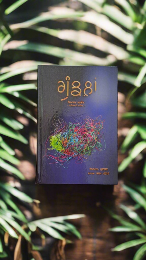 ਗੁੰਝਲਾਂ — Gunjhlaan — Punjabi book cover, Kitab Hut