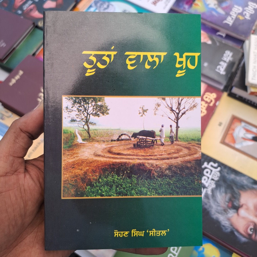 ਤੂਤਾਂ ਵਾਲਾ ਖੂਹ — Punjabi book cover, Kitab Hut