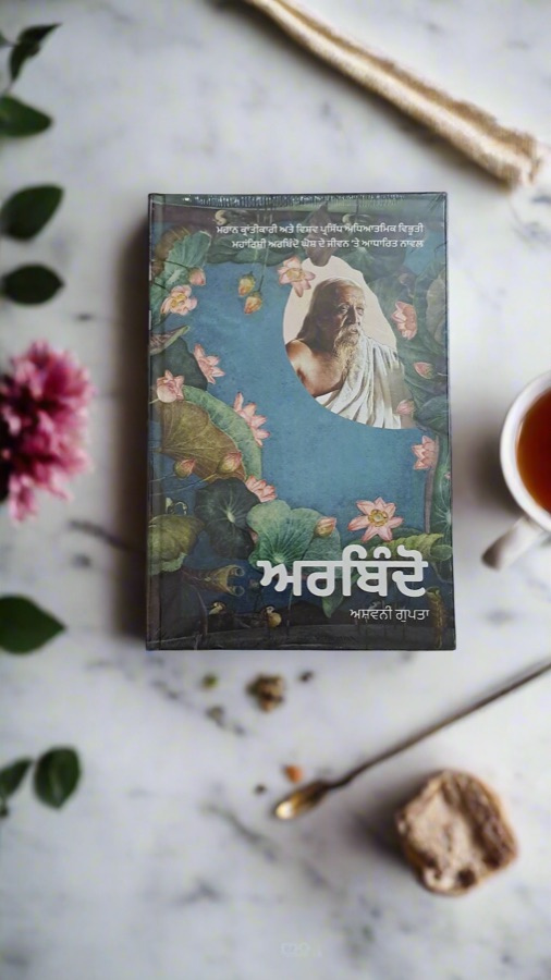 ਅਰਬਿੰਦੋ — Punjabi book cover, Kitab Hut