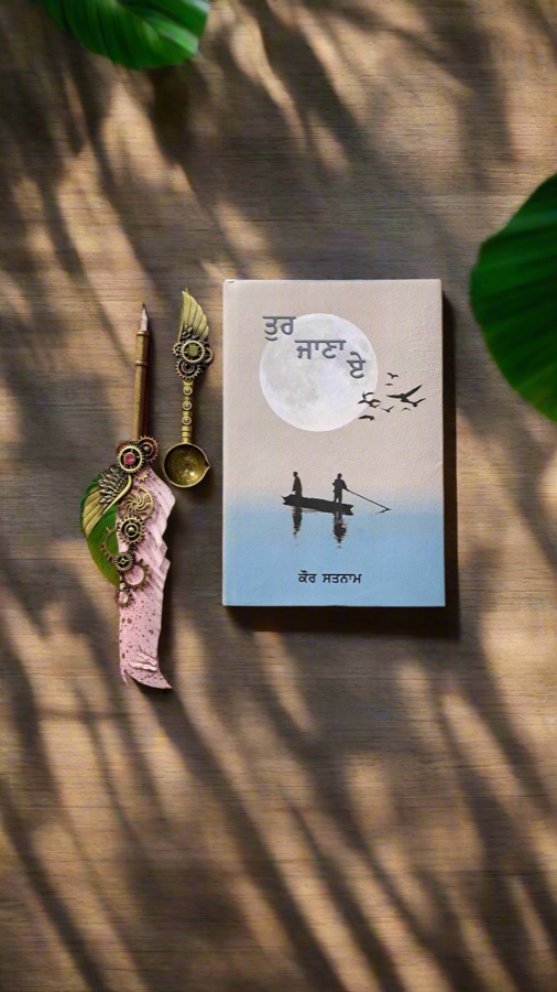 ਤੁਰ ਜਾਣਾ ਏ — Punjabi book cover, Kitab Hut