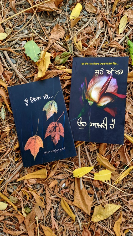 ਤੂੰ ਕਿਹਾ ਸੀ — Punjabi book cover, Kitab Hut