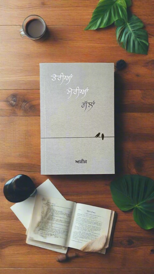ਤੇਰੀਆਂ ਮੇਰੀਆਂ ਗੱਲਾਂ — Punjabi book cover, Kitab Hut