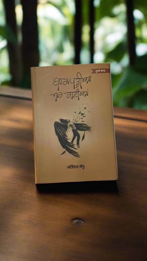 ਬਾਰਾਂ ਪੜੀਆਂ ਮਾਰ ਗਈਆਂ — Punjabi book cover, Kitab Hut
