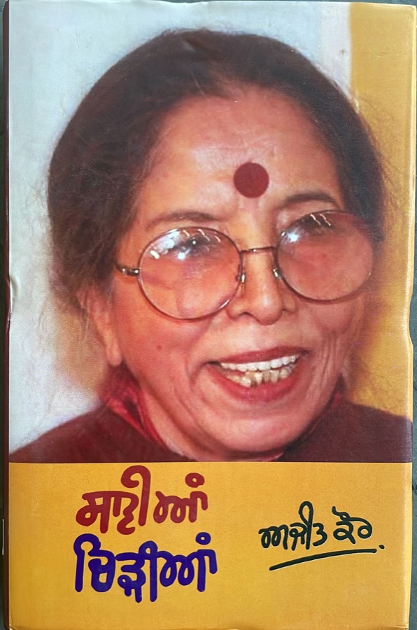 ਸਾਵੀਆਂ ਚਿੜੀਆਂ — Saviyan chidian — Punjabi book cover, Kitab Hut